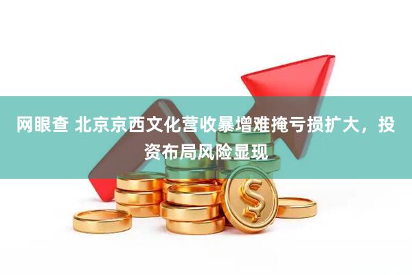 网眼查 北京京西文化营收暴增难掩亏损扩大，投资布局风险显现
