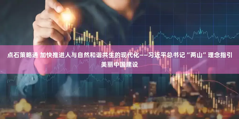 点石策略通 加快推进人与自然和谐共生的现代化——习近平总书记“两山”理念指引美丽中国建设