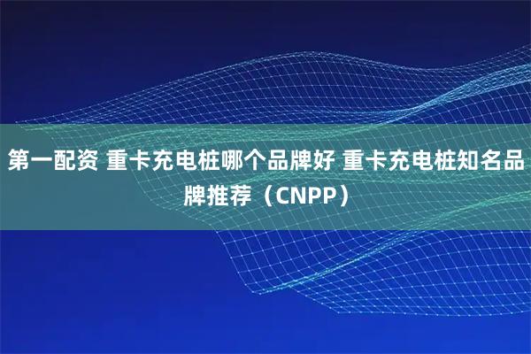 第一配资 重卡充电桩哪个品牌好 重卡充电桩知名品牌推荐（CNPP）